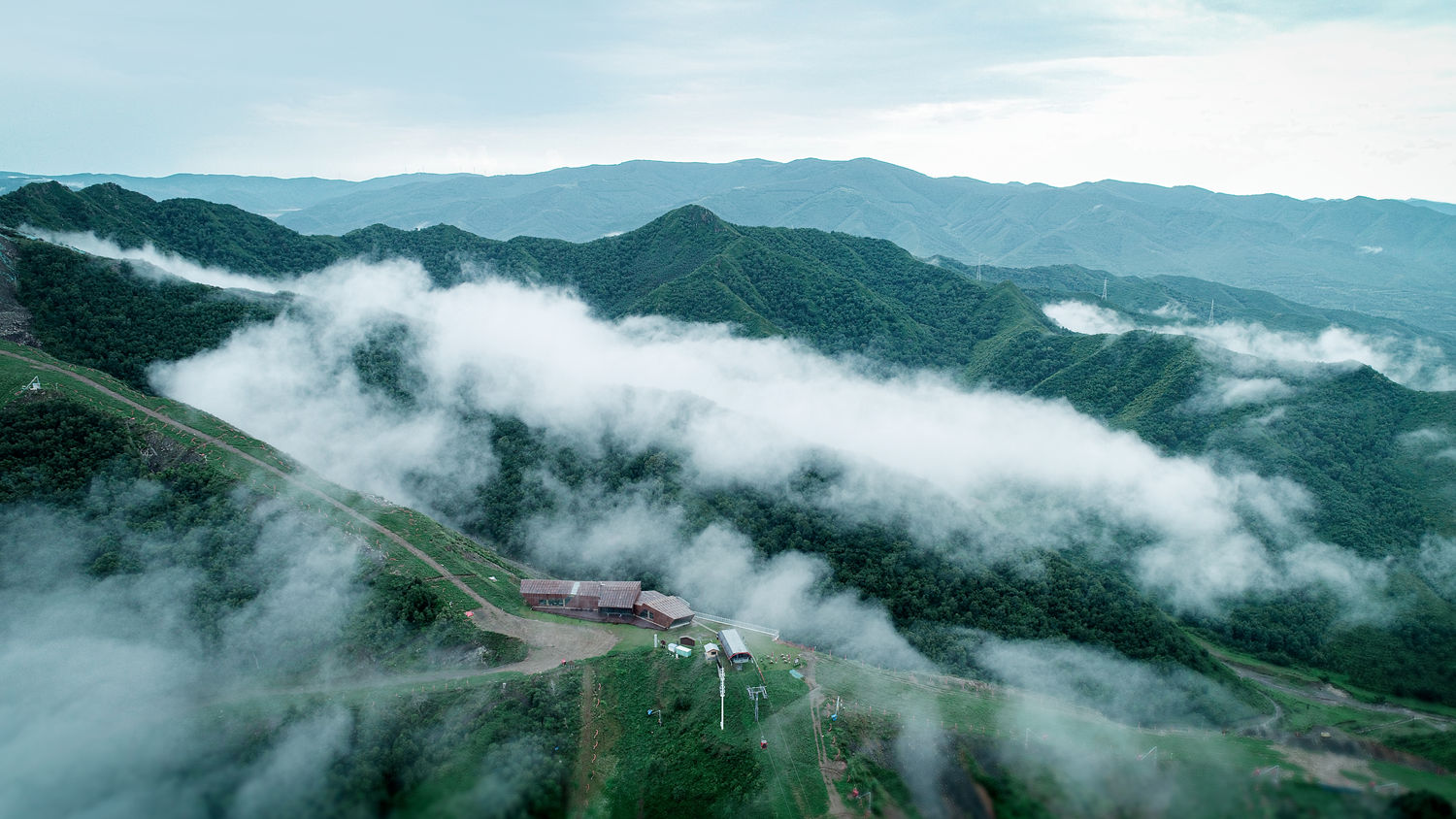 富龙