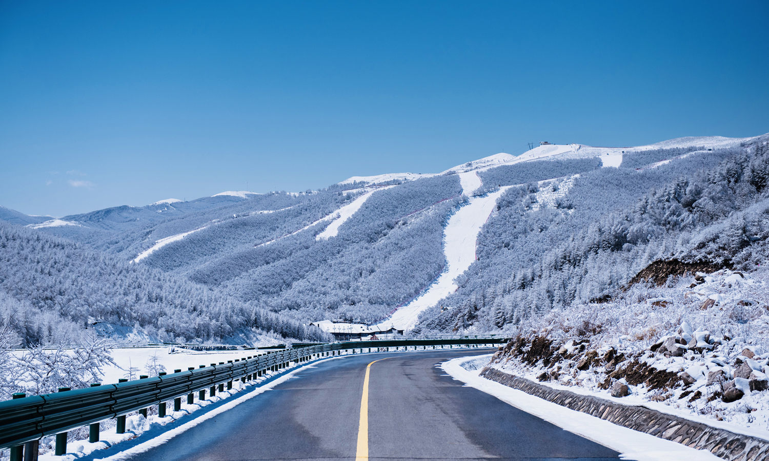 云顶